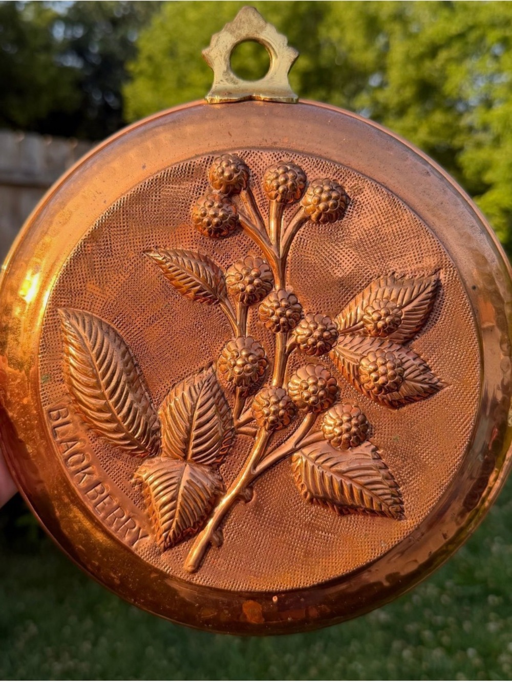 Vintage Embossed Copper Blackberry Decorative Plaque wall decor